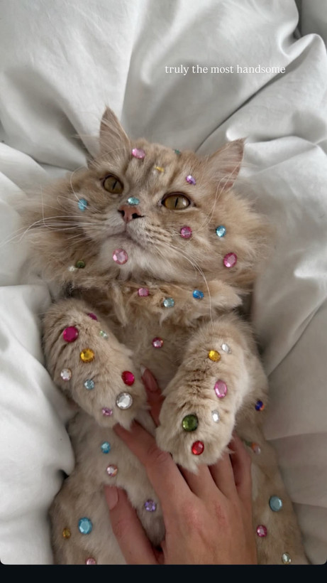 نگین صورت چسبی